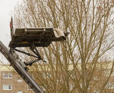 Möbellift in Pfungstadt: Möbellift zwischen kahlen Bäumen vor einem Gebäude