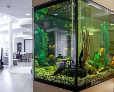 Aquarium-Umzug Pfungstadt: Großes Aquarium in einem modernen Wohnzimmer