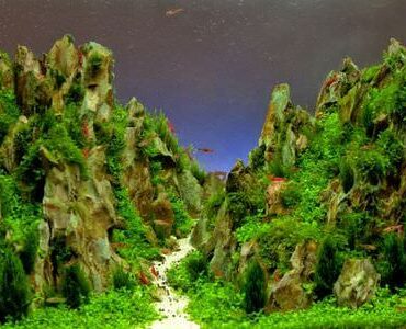 Aquarium-Umzug Pfungstadt: Aquarium mit Felslandschaft und Pflanzen
